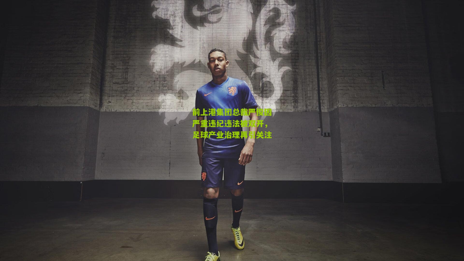 前上港集团总裁严俊因严重违纪违法被双开，足球产业治理再引关注